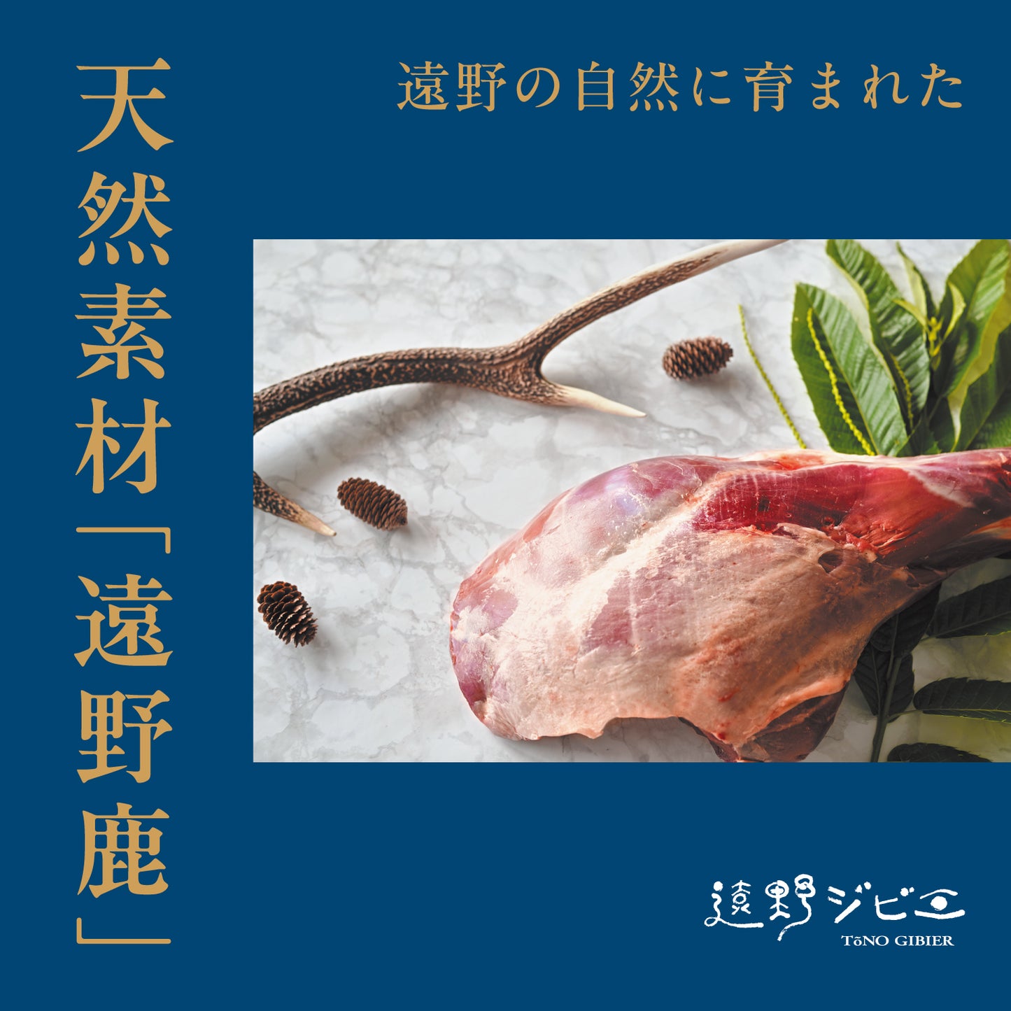 遠野鹿【熟成】外モモ 300g 強い赤身と旨味、噛むほど広がるジビエの醍醐味
