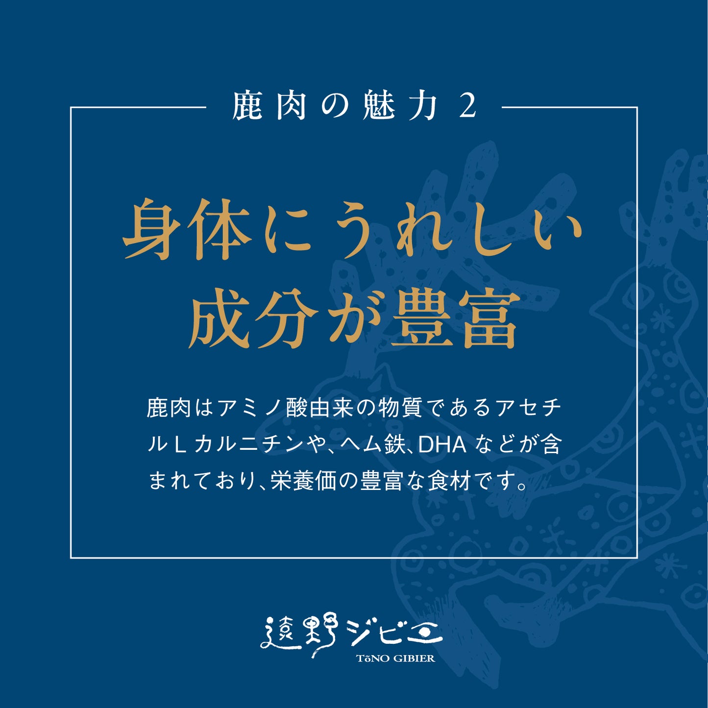 遠野鹿【熟成】モモ　質と量を兼ね備えた最高級ジビエ