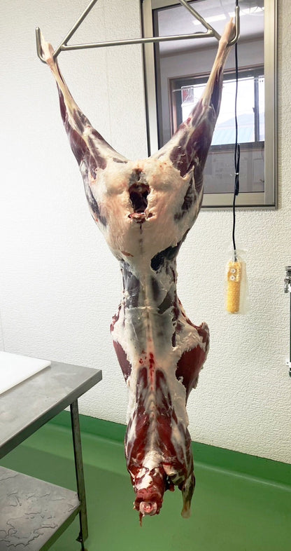【贅沢ジビエ】夏鹿の一頭買い　14kg