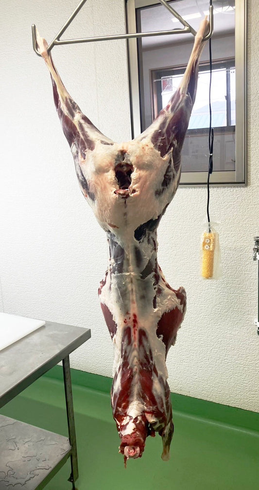 【贅沢ジビエ】夏鹿の一頭買い　14kg