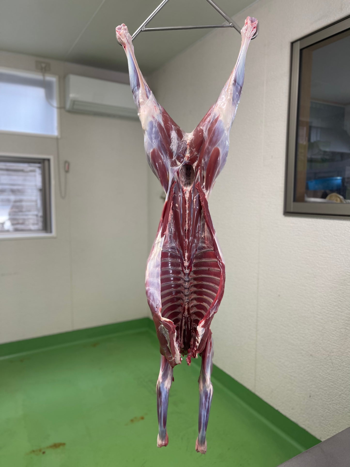 【贅沢ジビエ】若鹿の一頭買い　10ｋｇ