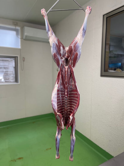 【贅沢ジビエ】若鹿の一頭買い　10ｋｇ