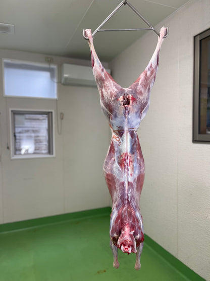 【贅沢ジビエ】若鹿の一頭買い　10ｋｇ
