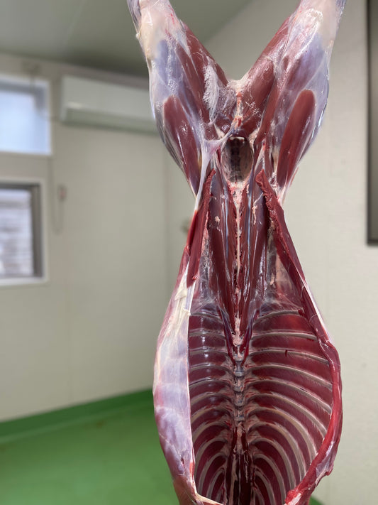 【贅沢ジビエ】若鹿の一頭買い　10ｋｇ