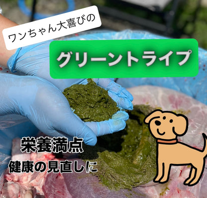 【最強のペットフード】胃袋まるごと！！若鹿のグリーントライプ　３㎏